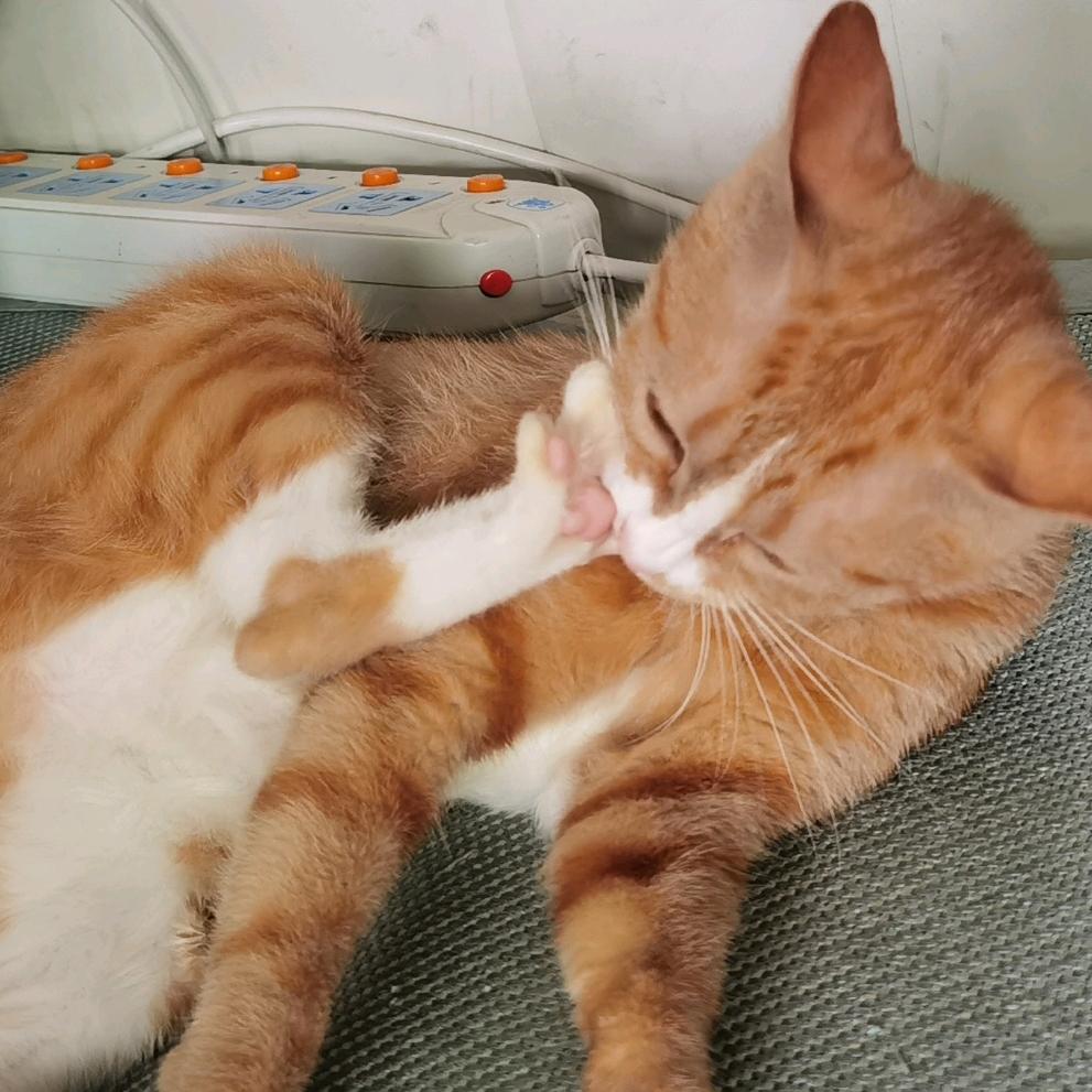 我姓蒋