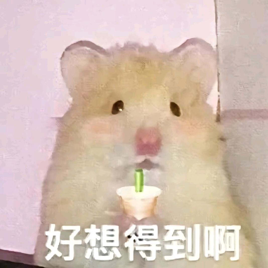 小橙嘀嘀咕咕