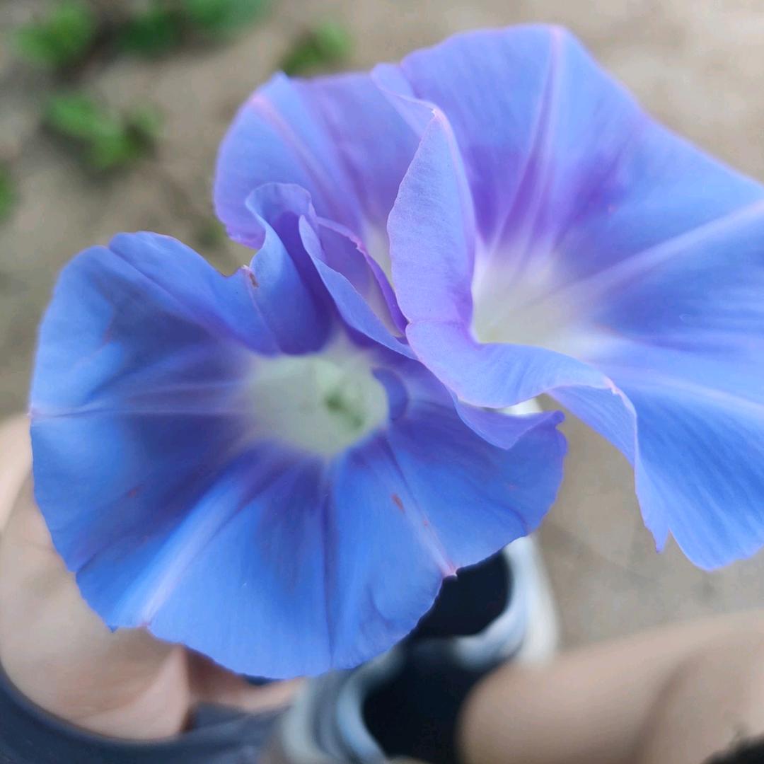 ᥫᩣ༚°时ꦿ໌ᮨ້༉¹⁹⃨⁸⁸