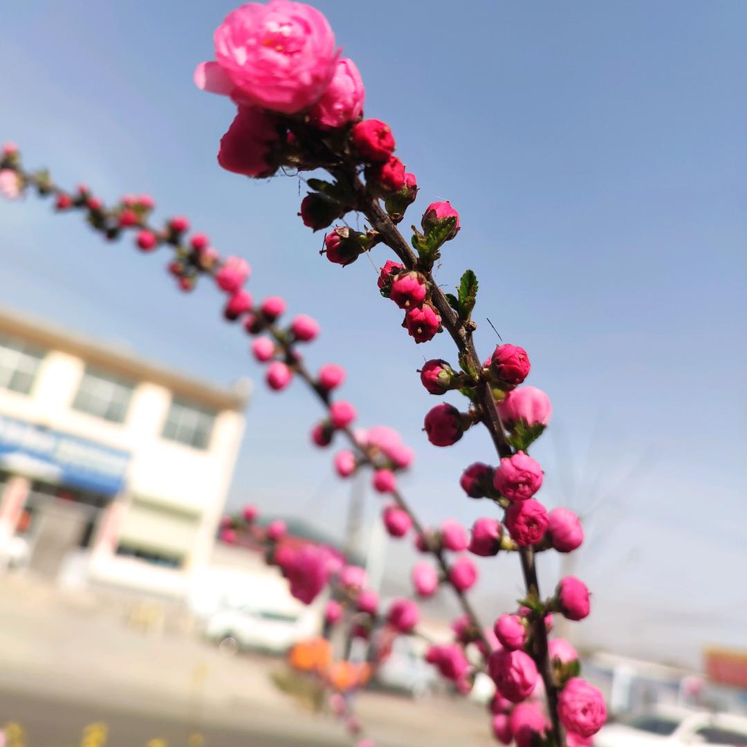 一路同步