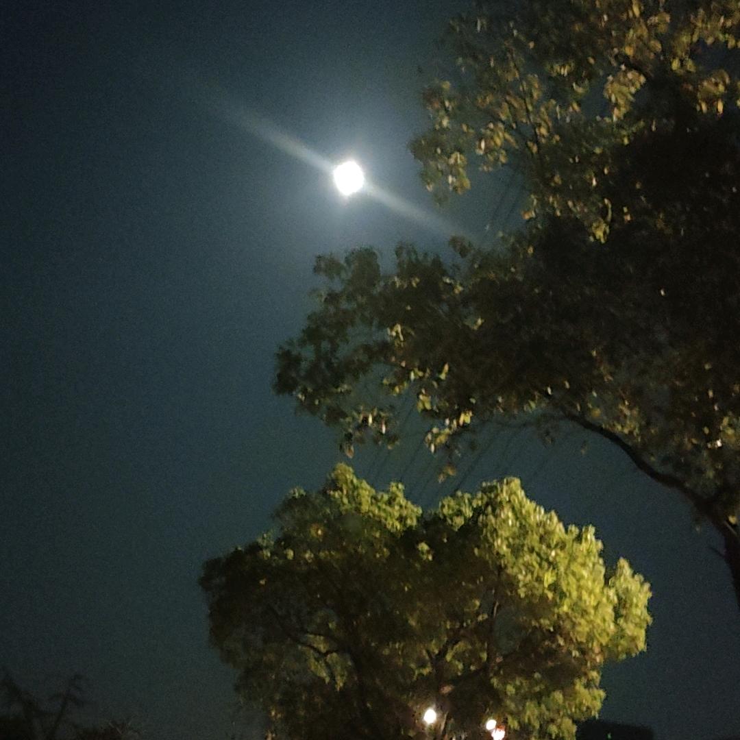 梦思来
