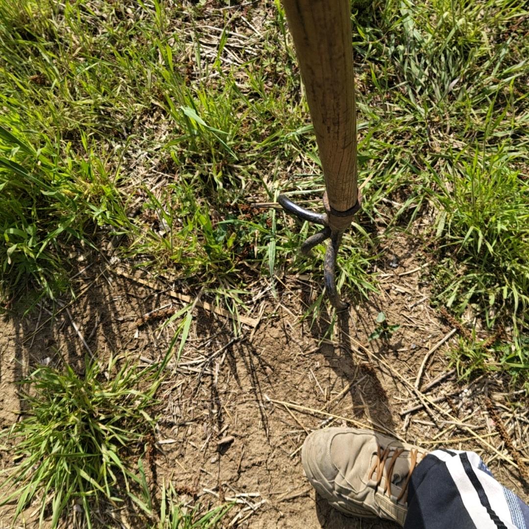 一笑而过