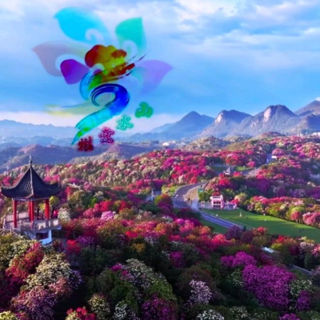 山水贵州“花海鶴乡”