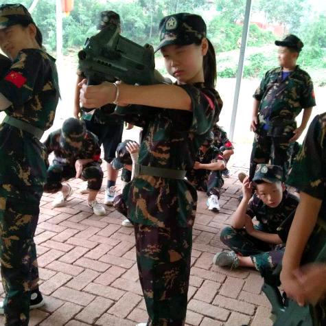 叶子（玉米芯压块）