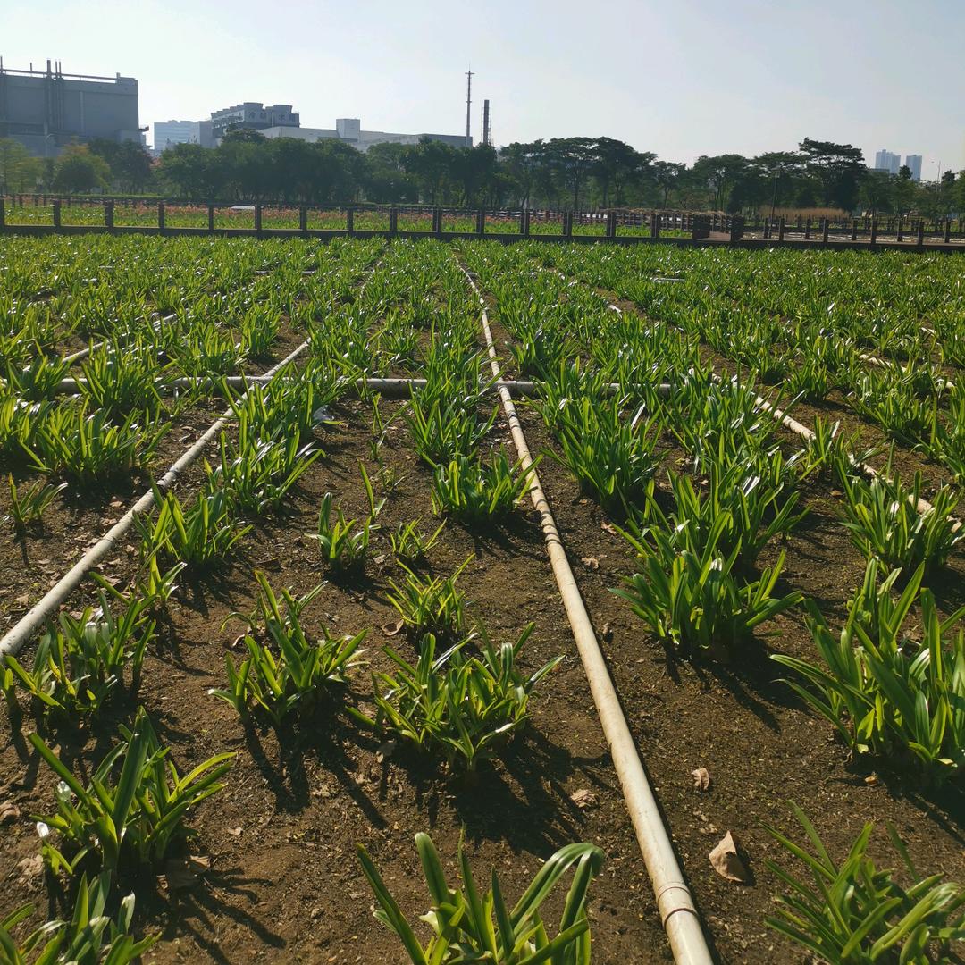 云聚品福气东来