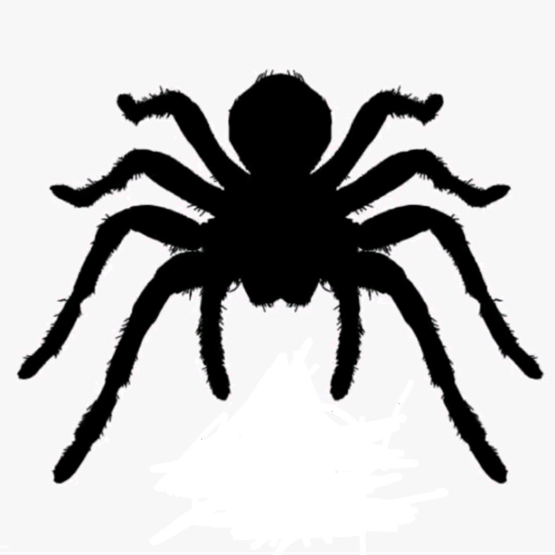 帅甜甜甜甜甜甜甜甜！！！！！！！！！！！