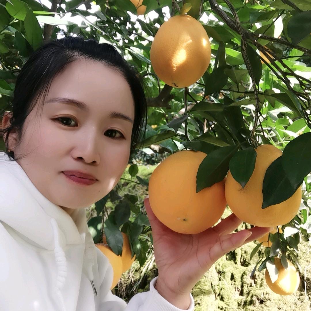 苗市罗勇农资经营部