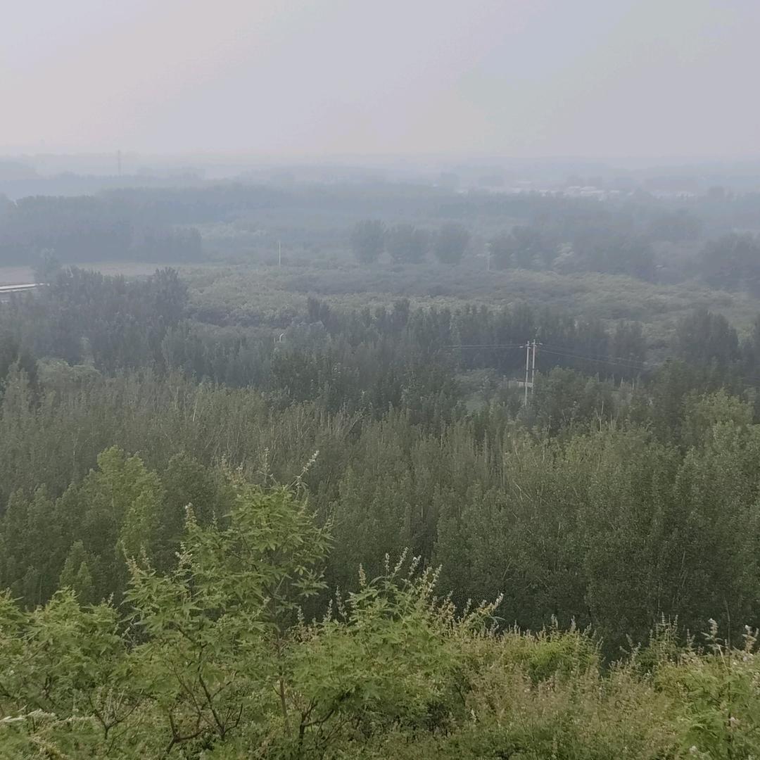 时光清浅你好
