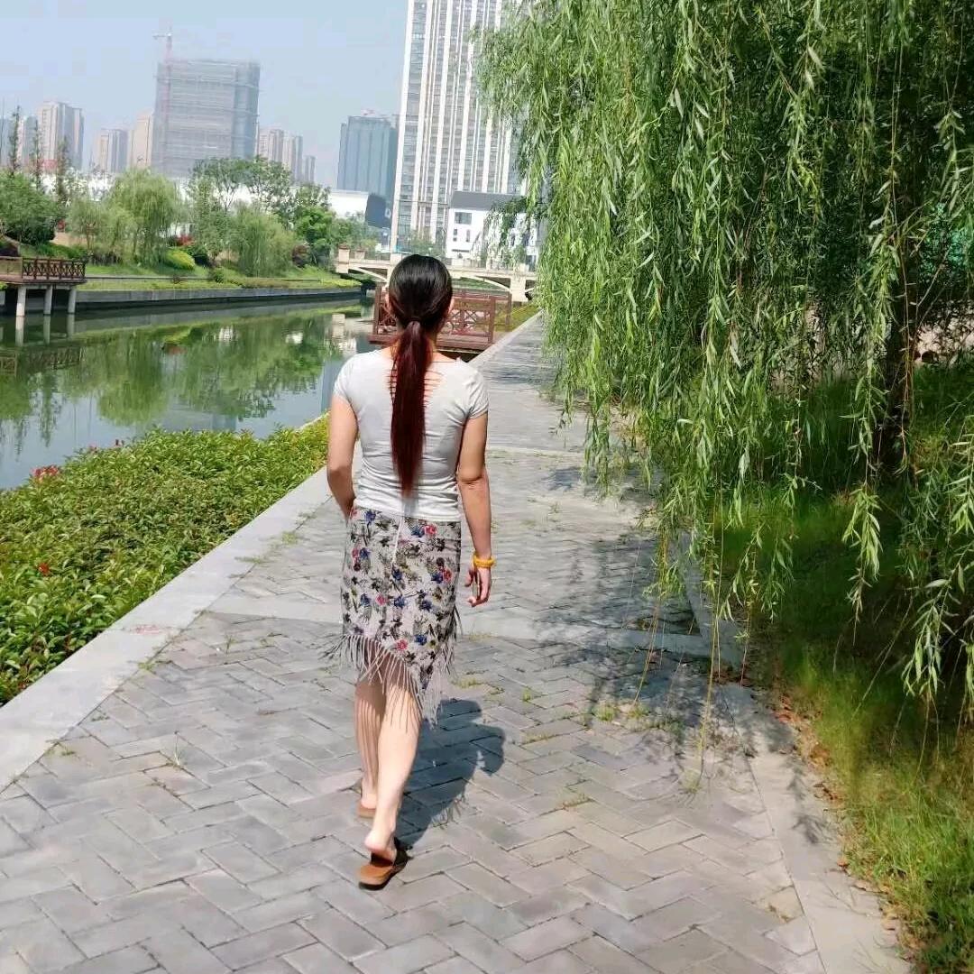 晨曦茉莉
