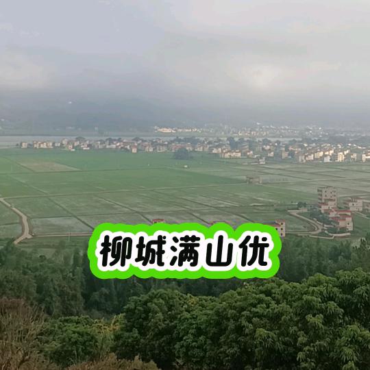 满山优果场的店铺