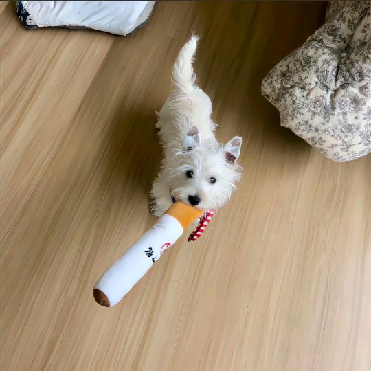 忧郁的胡男入