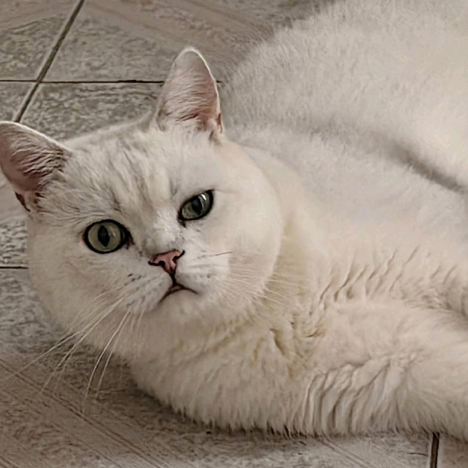 天线汪汪b🐈🐈