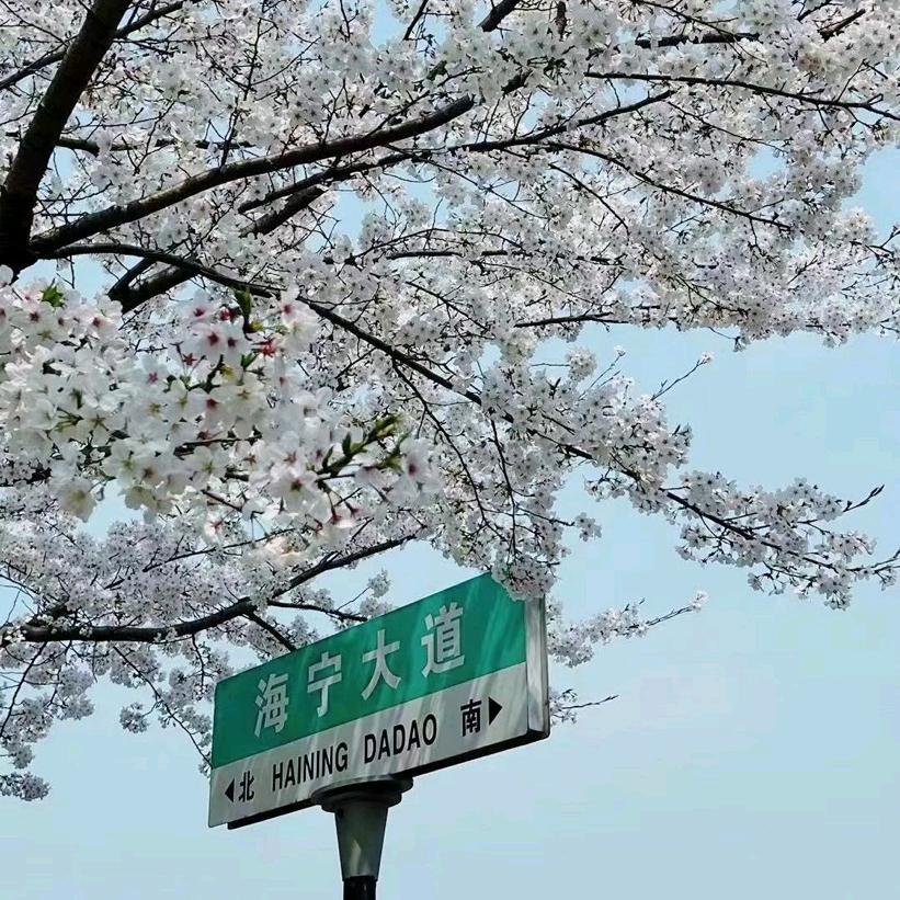 亦是人间惊鸿