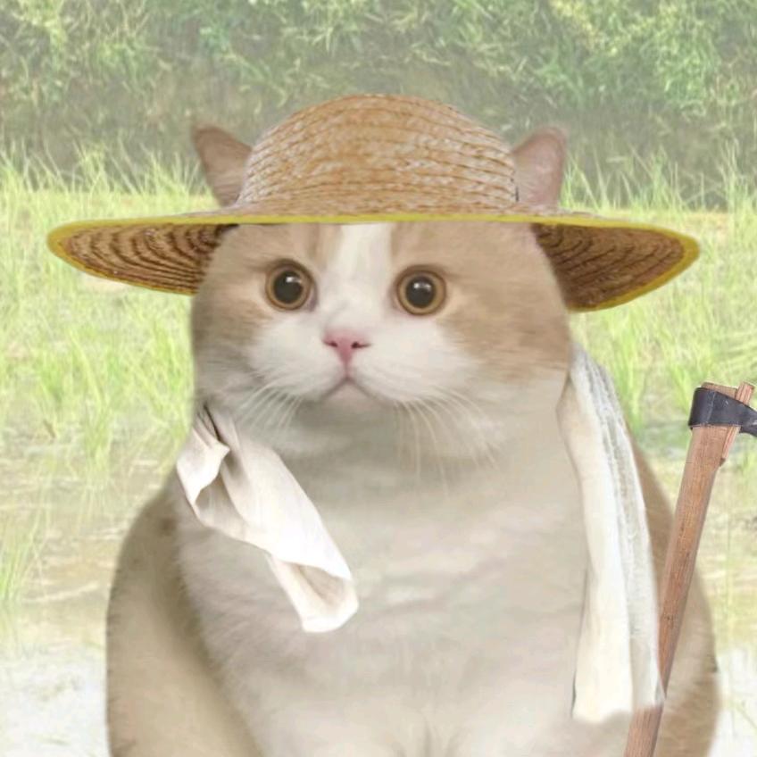天才小菜狗