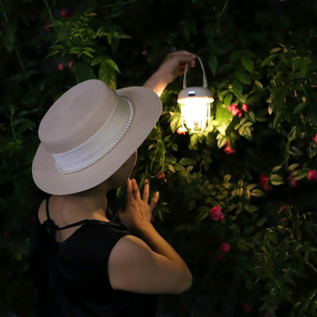 立白小迷糊湖南