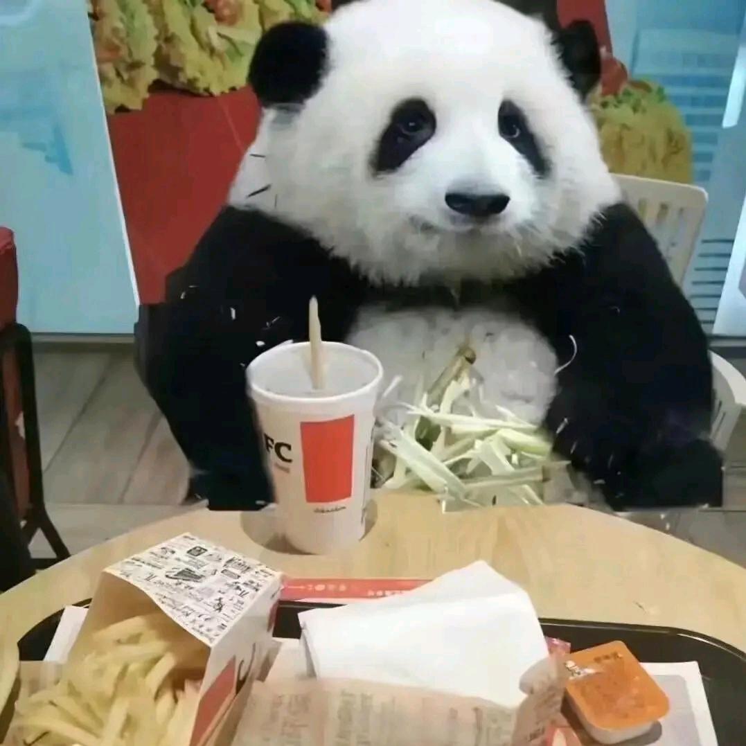 啰啰