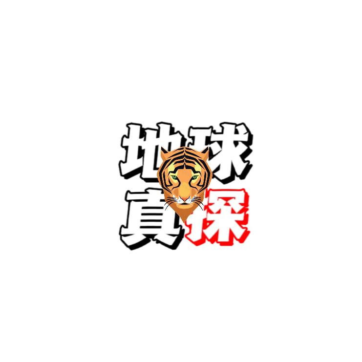地球真探