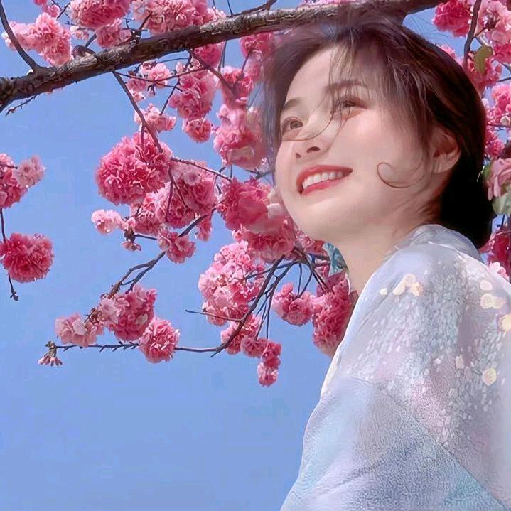 熊森