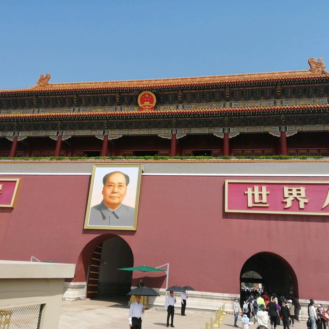 北方的狼44623