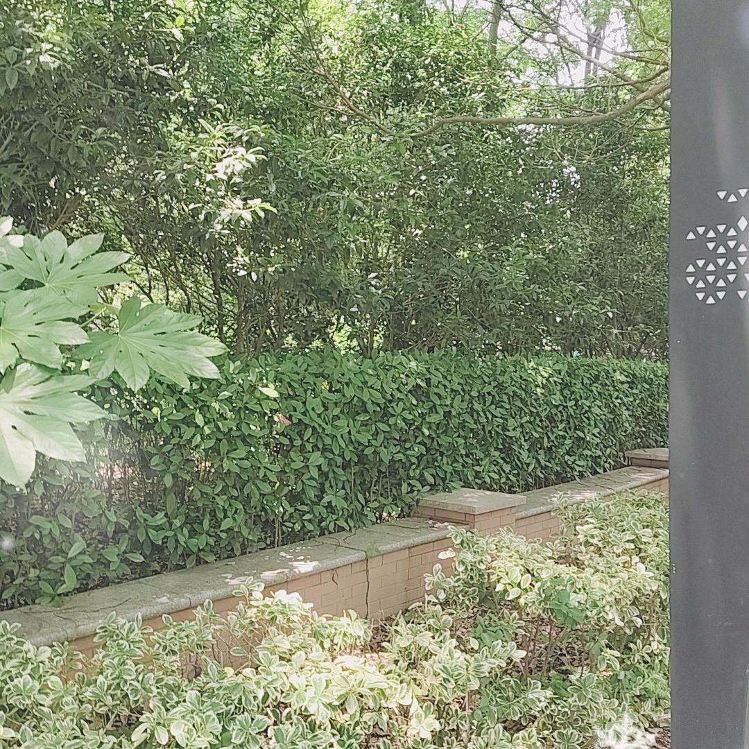 用户3267082924431