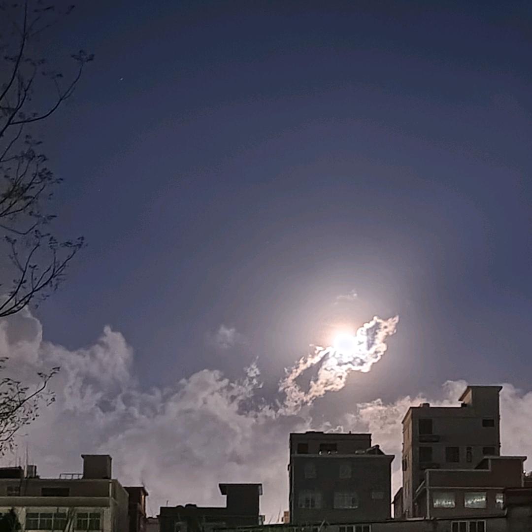 维卡多密语（橱窗下单）