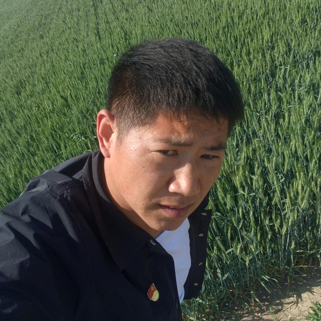 农村小张