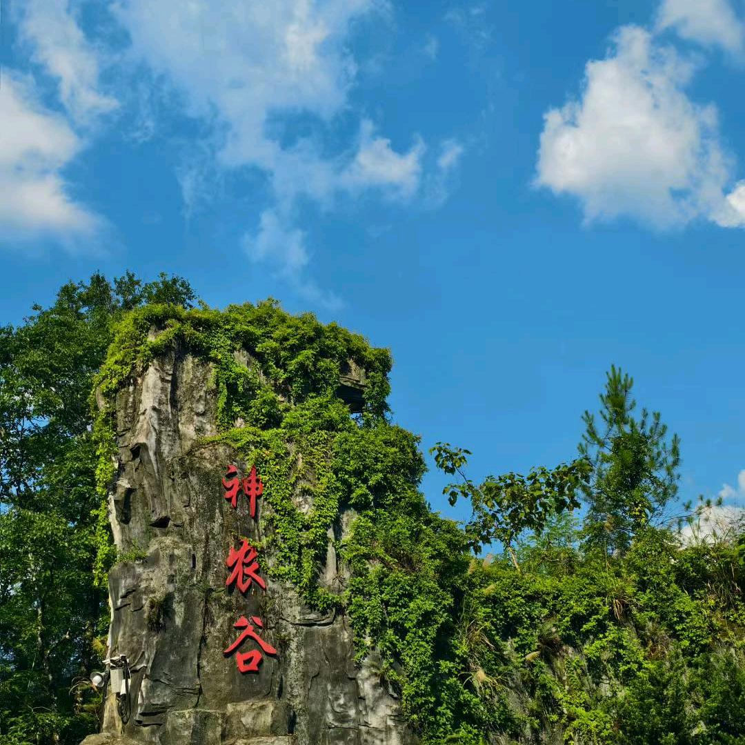 神农谷推荐官