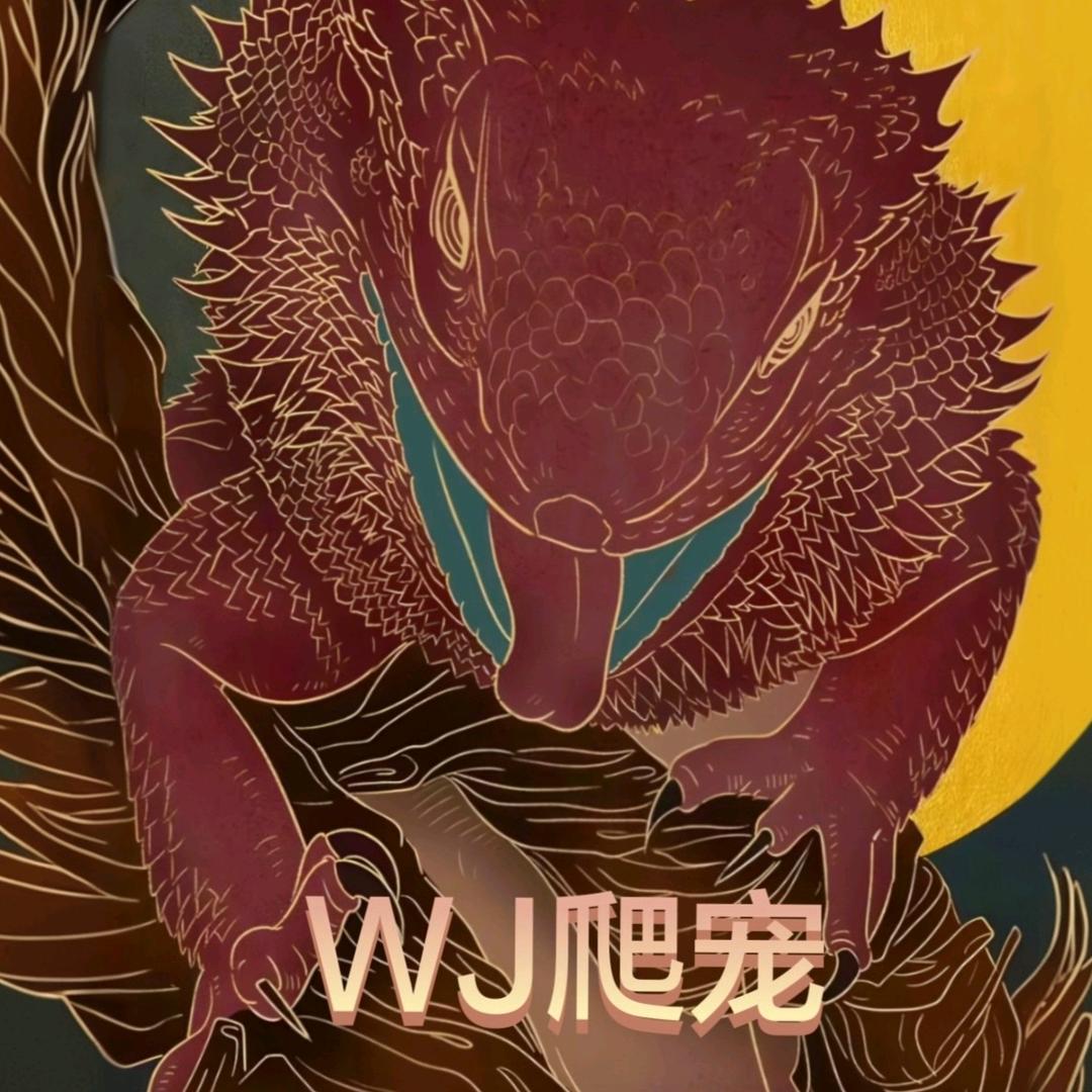 WJ爬宠