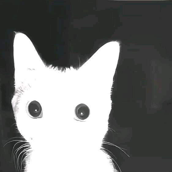 秋毫