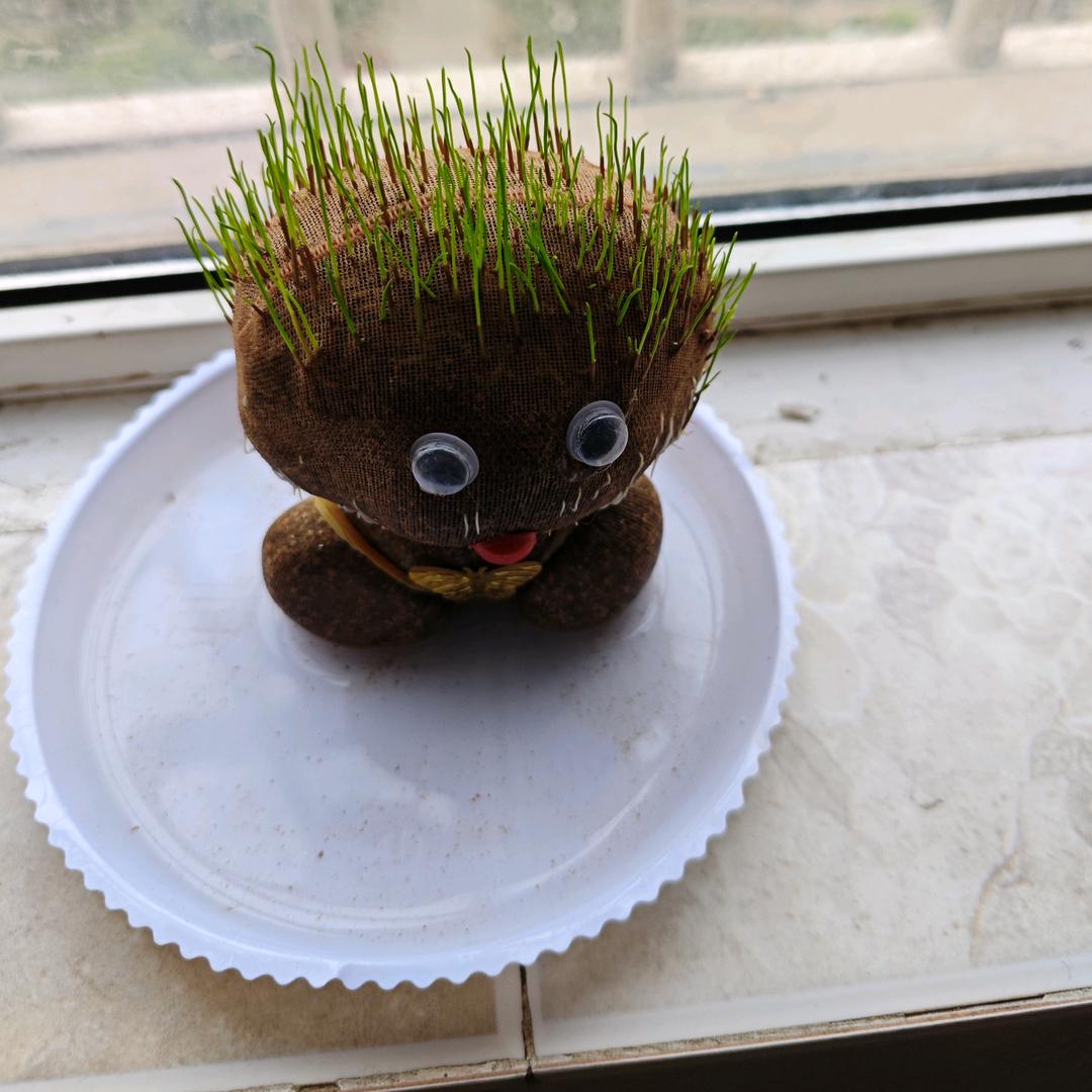 野生观察员