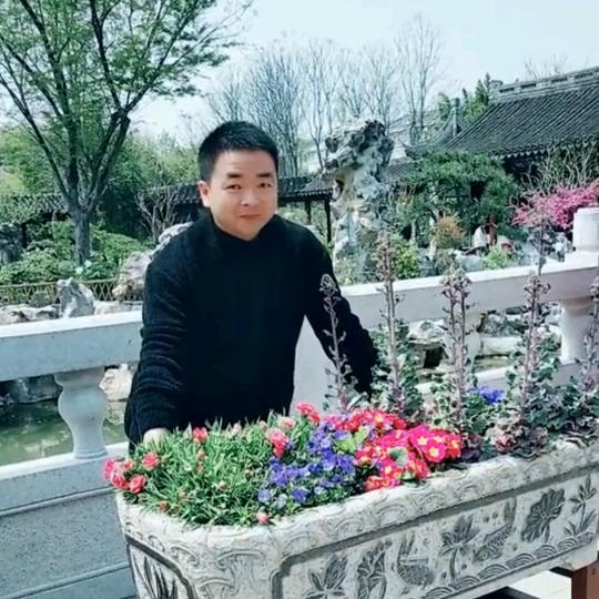 温柔的对白_