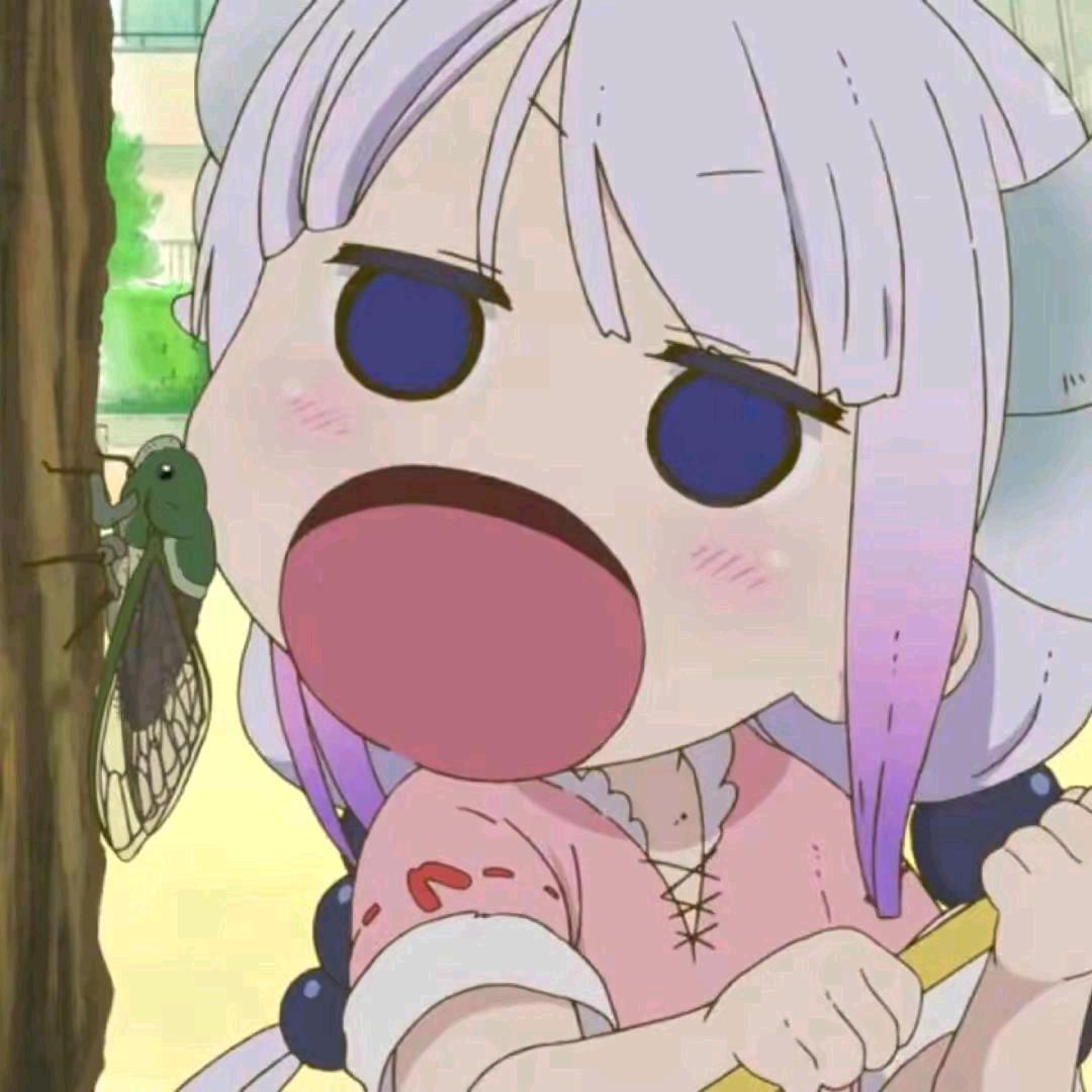 羡羡