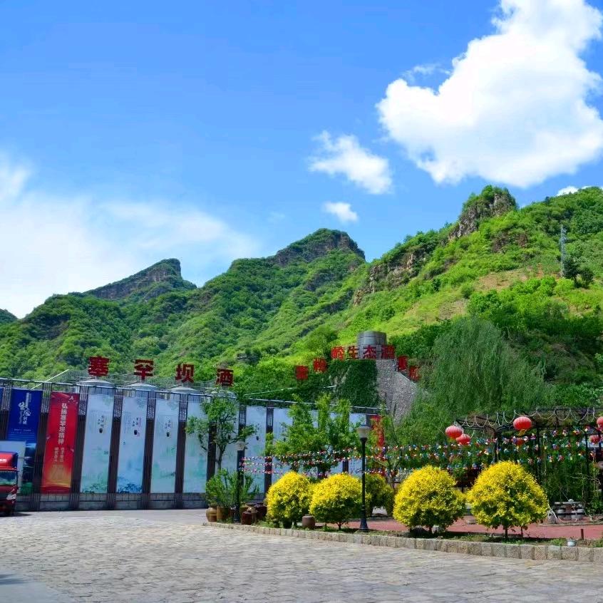 China茅山二波哥