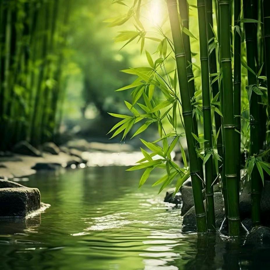 @尚~~艺