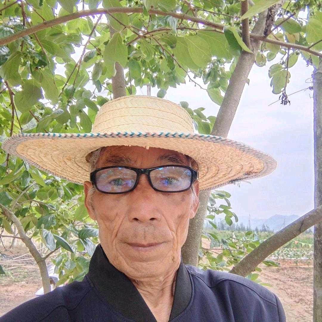 田泽林
