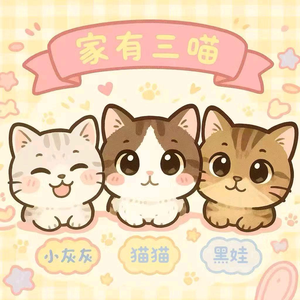 家有三喵宠物口水巾