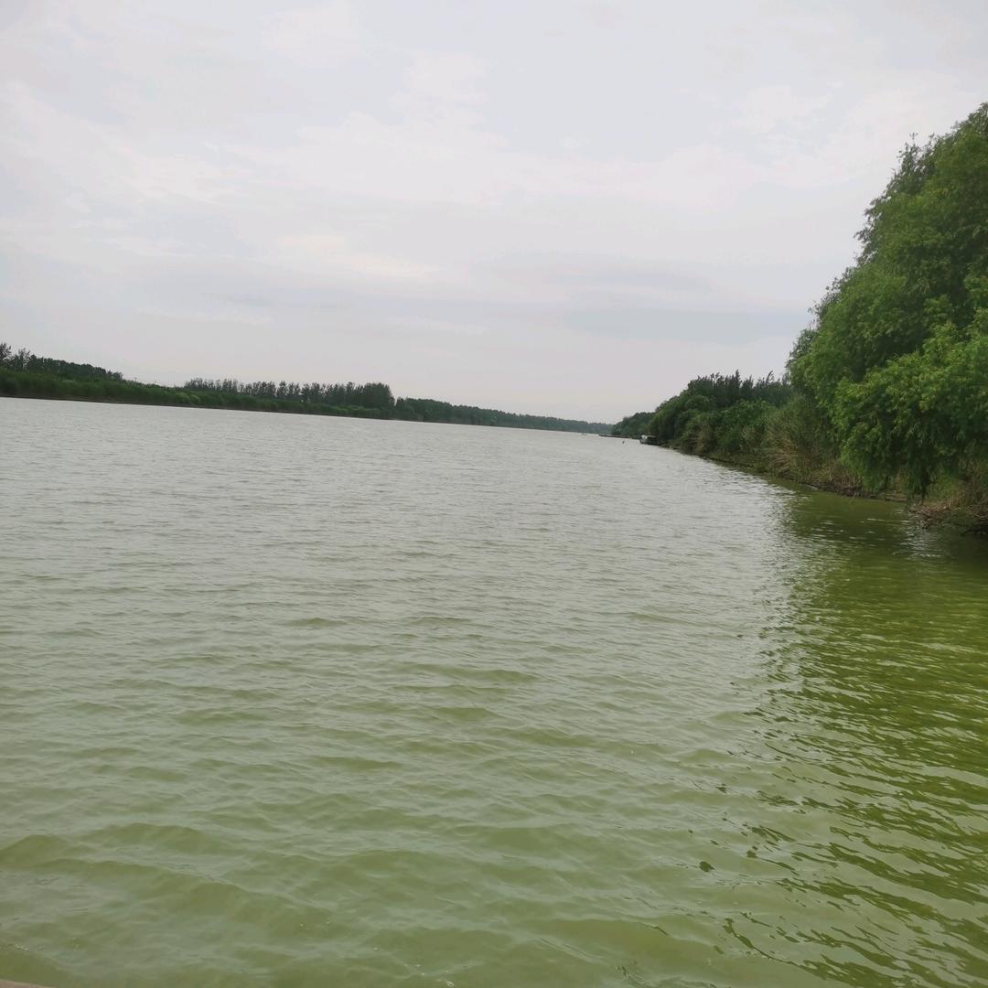 平常心🇨🇳🇨🇳