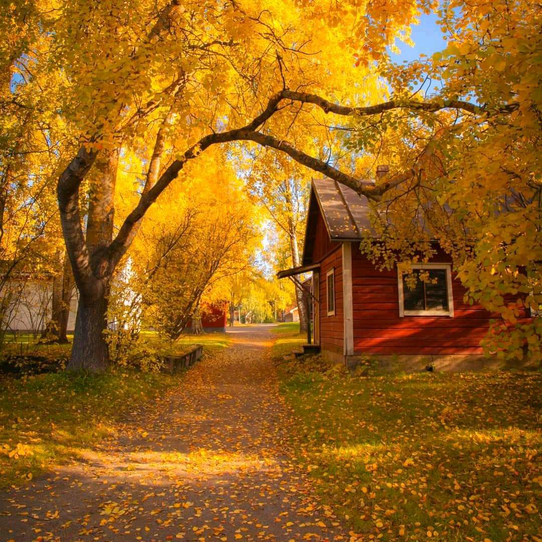 惠兰山.雷哥.干支信息学