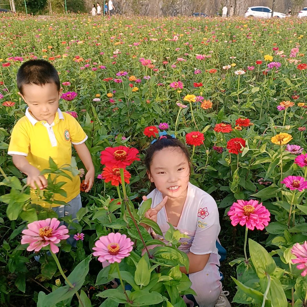 文姐不定时开播