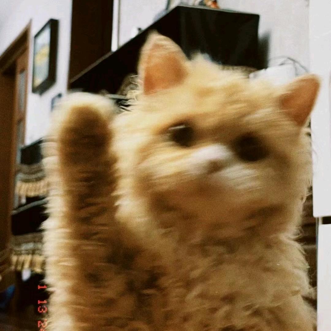 阿泽三角洲跑刀