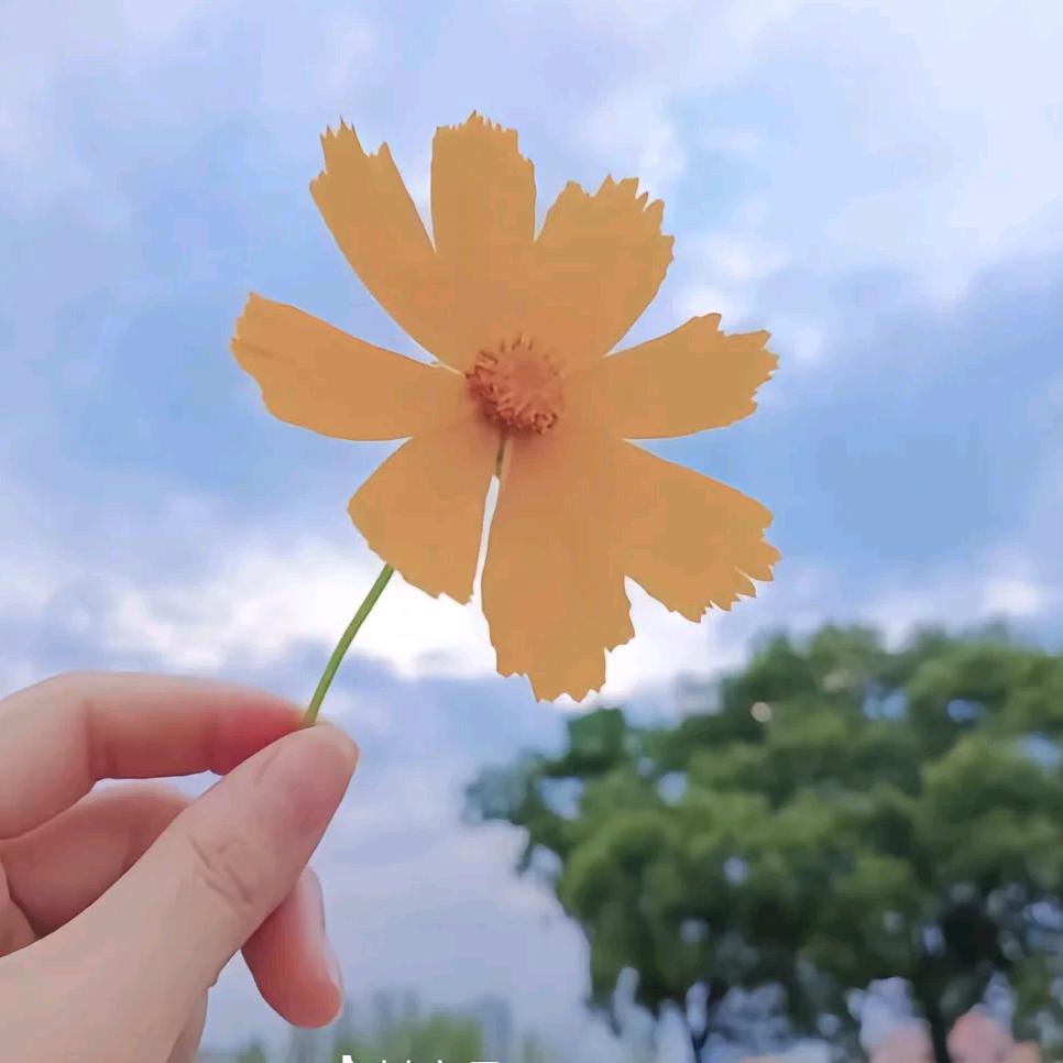 转角的光☀