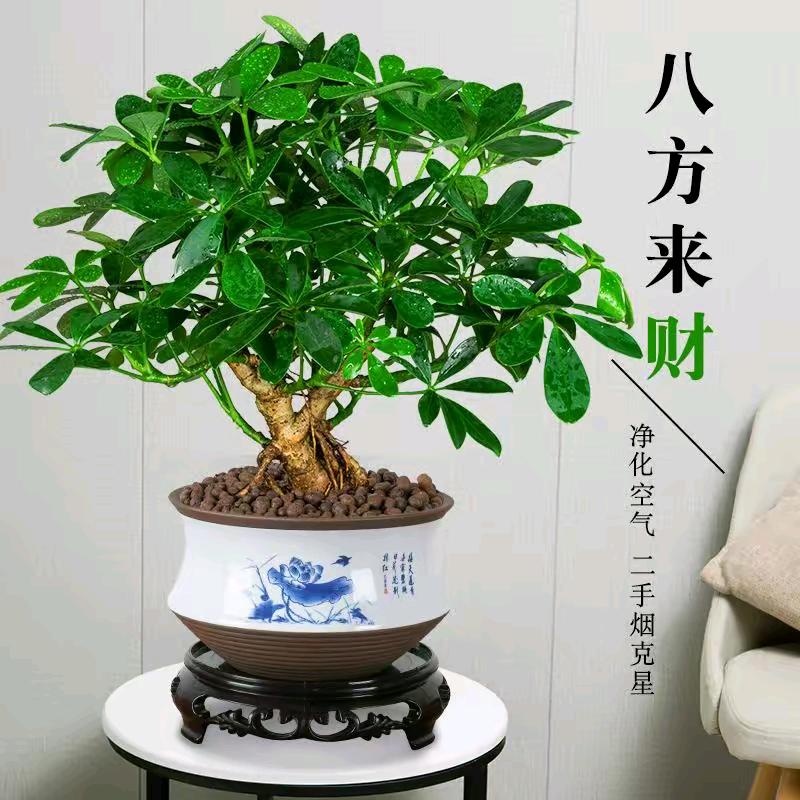 苦尽【甘】来