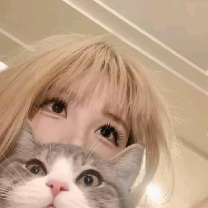 𝓨、