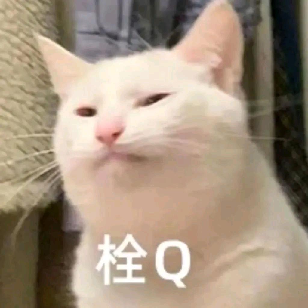 七宝儿