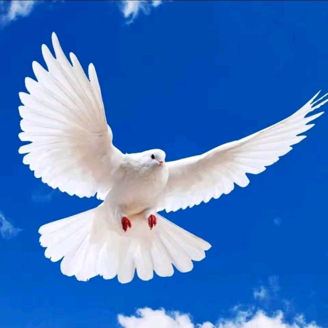 柔情似水，佳期如梦