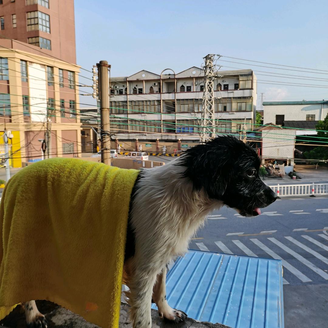 账号
