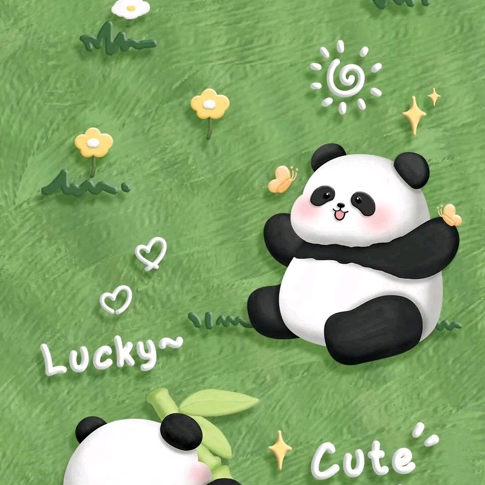 陈。