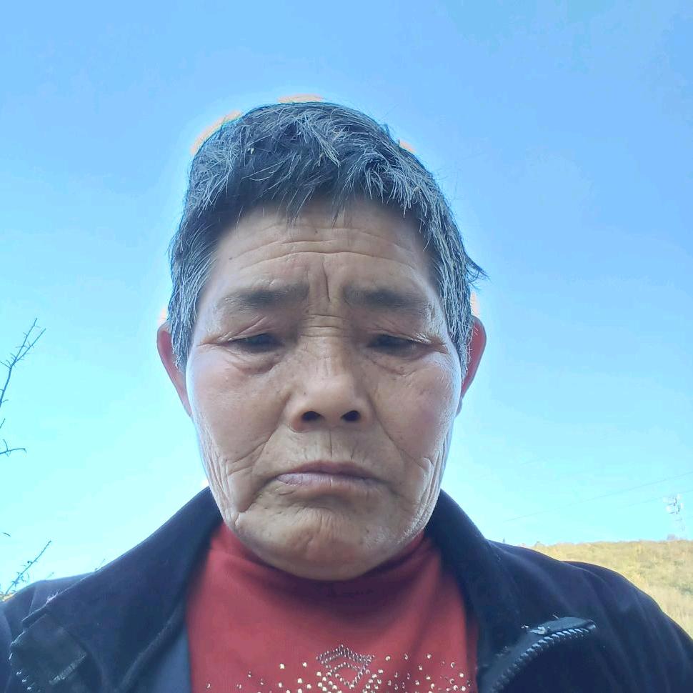 刘永凤
