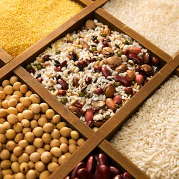 王老师生活指南