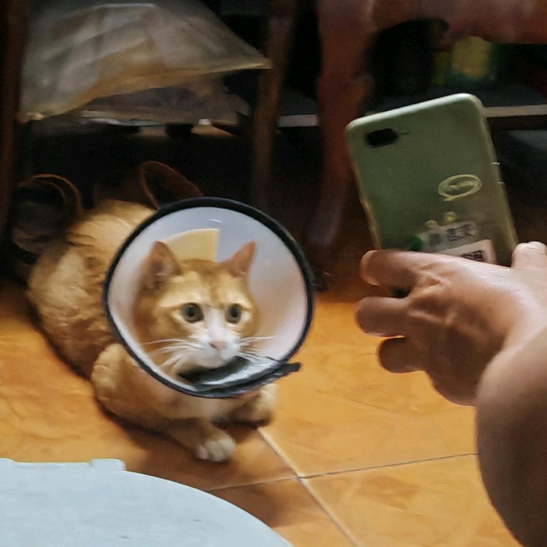 兜兜有糖.
